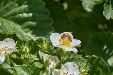 Similar image 21477151