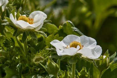 Similar image 21477152