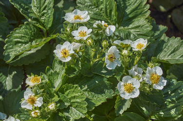 Similar image 21477153