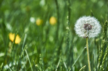 Similar image 21477155