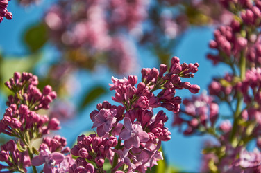 Similar image 21477157