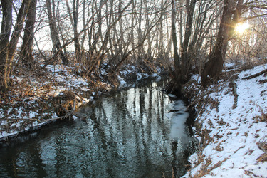 Similar image 21477602