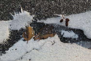 Similar image 21477606