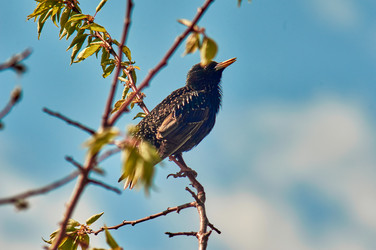 Similar image 21477607