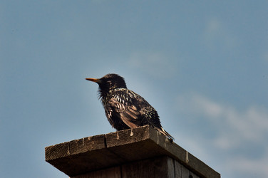 Similar image 21477608