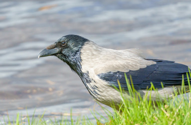 Similar image 21477160