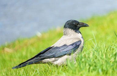 Similar image 21477161