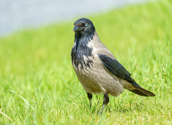 Similar image 21477164