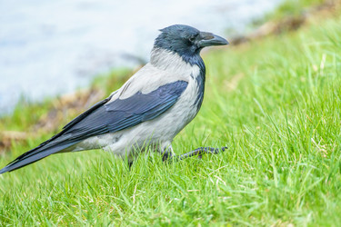 Similar image 21477165