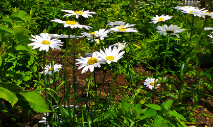 Similar image 21477891