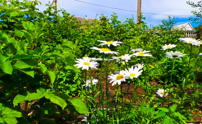 Similar image 21477892