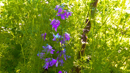 Similar image 21477893