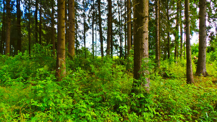 Similar image 21477895