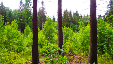 Similar image 21477896