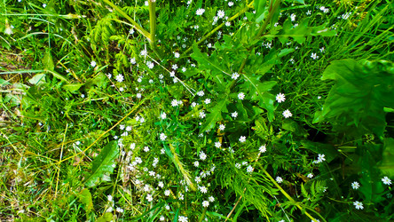 Similar image 21477897