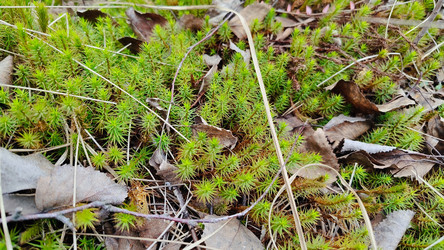 Similar image 21477609