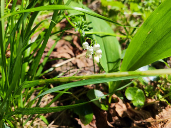 Similar image 21477610