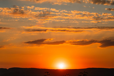 Similar image 21477427