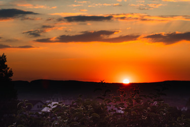 Similar image 21481609