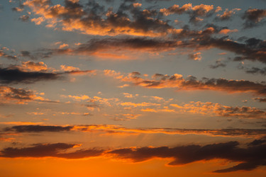 Similar image 21479957