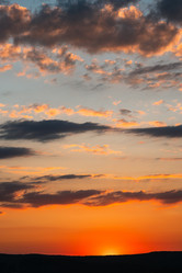 Similar image 21481611