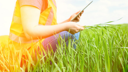 Similar image 21479126