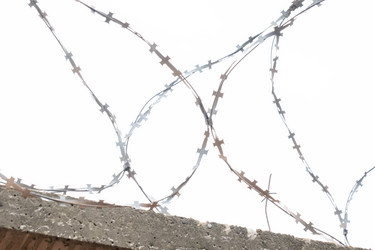 Similar image 21479139