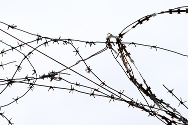 Similar image 21479140