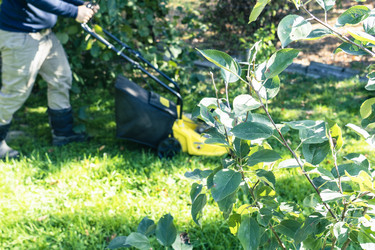 Similar image 21479142