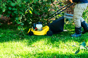 Similar image 21479143