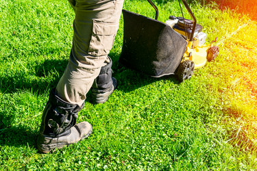 Similar image 21479145