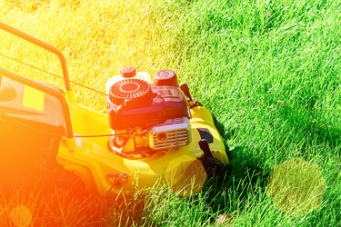 Similar image 21479146