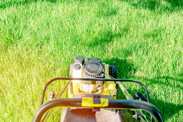 Similar image 21479147