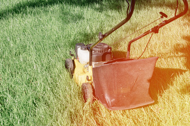 Similar image 21479148