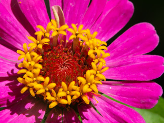 Similar image 21477430