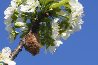 Similar image 21477431