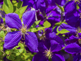 Similar image 21477433