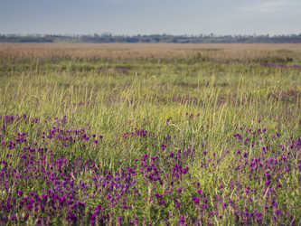 Similar image 21477434