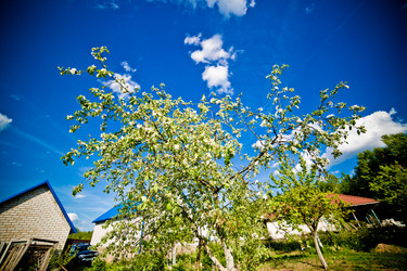 Similar image 21477734