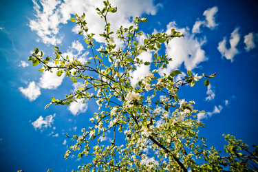 Similar image 21477735