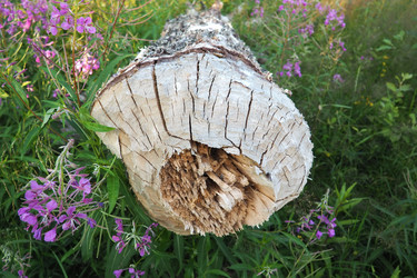 Similar image 21478329