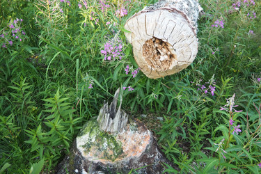 Similar image 21478330