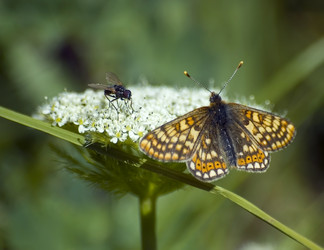 Similar image 21478185