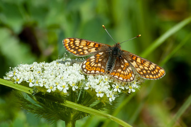 Similar image 21478201