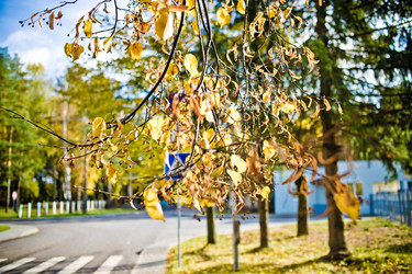 Similar image 21477755