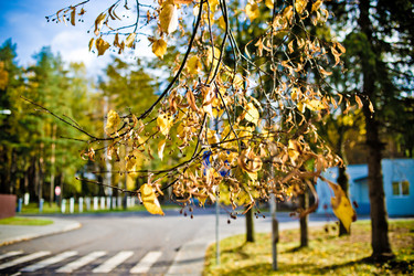 Similar image 21477757