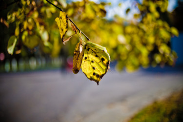 Similar image 21477759