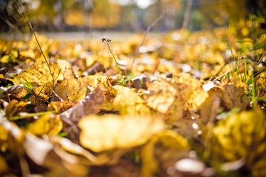 Similar image 21477760