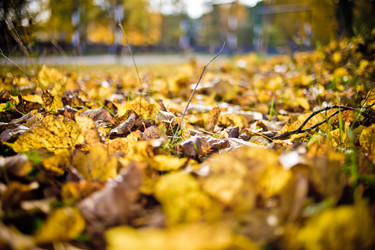 Similar image 21477762