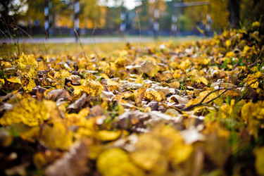 Similar image 21477764